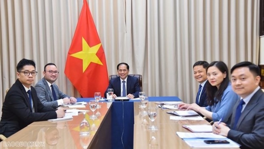 Vietnam, Mozambique step up multifaceted cooperation